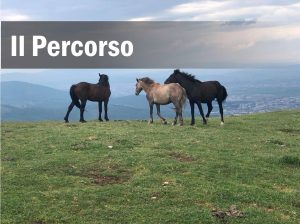 miniatura_percorso